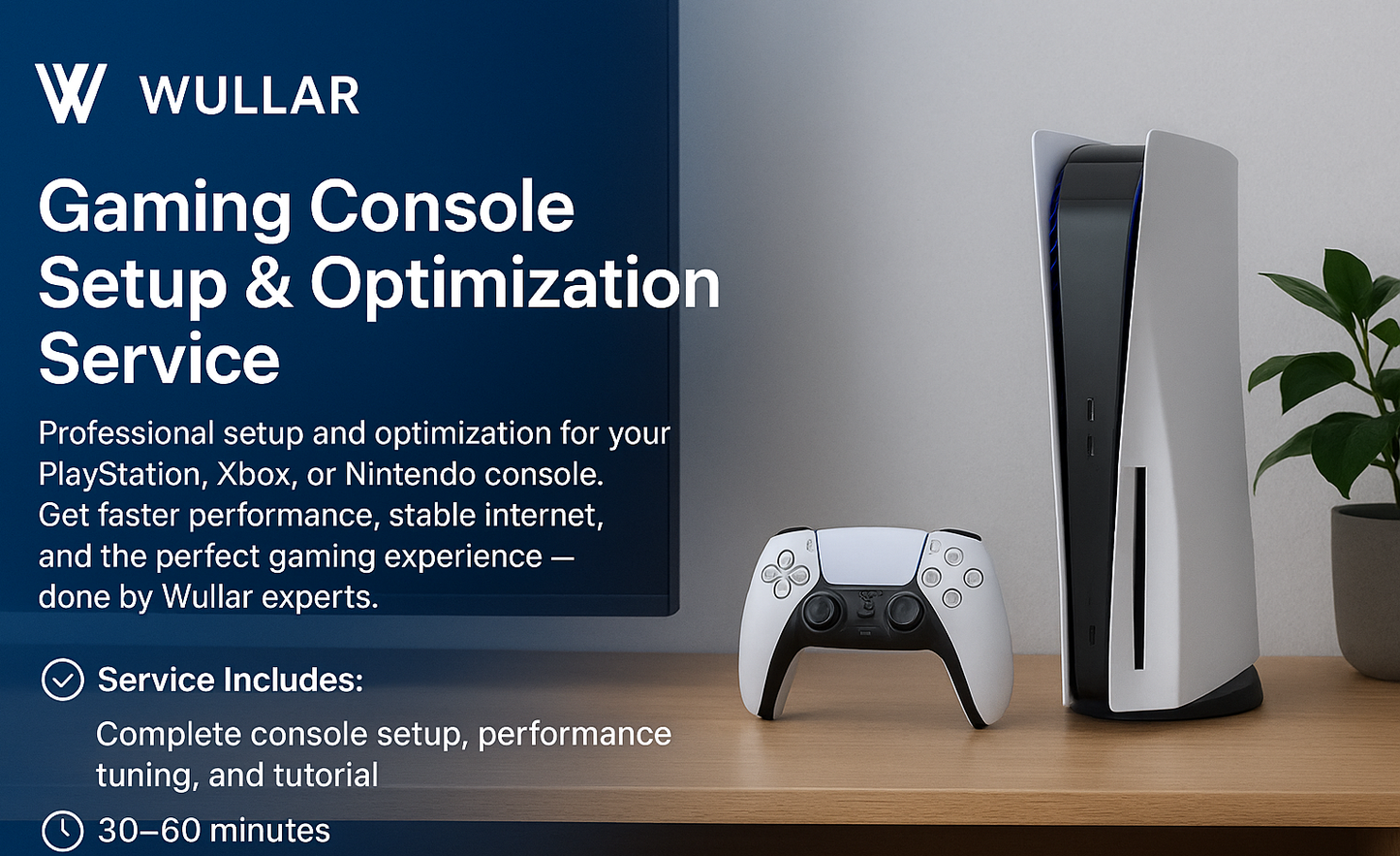 Gaming Console Setup & Optimization Service